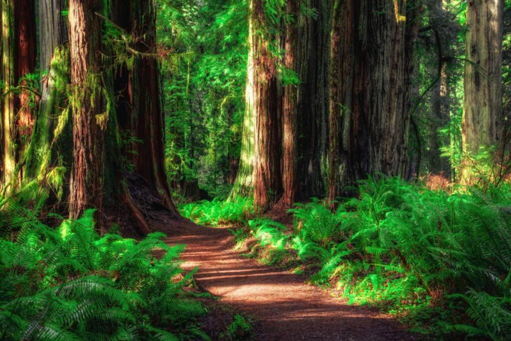 Bear Mountain - Suite 5 Grants Pass Dış mekan fotoğraf